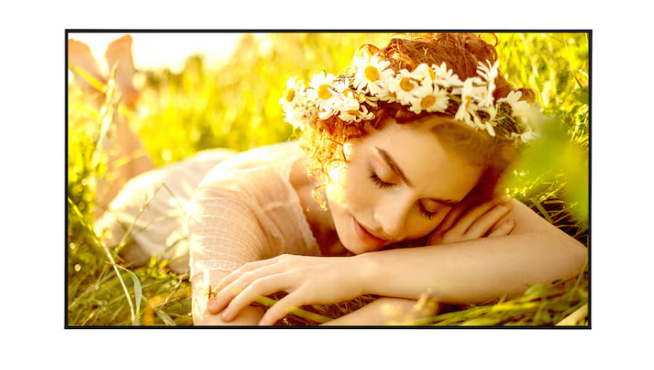 LG 50UL5Q Pantalla Comercial LED 50", 4K Ultra HD, Negro