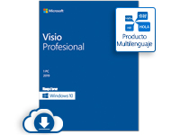 Microsoft Visio Professional 2019, 1 PC, Plurilingüe, Windows