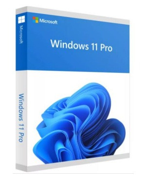 Microsoft Windows 11 Pro, 1 Licencia, OEM