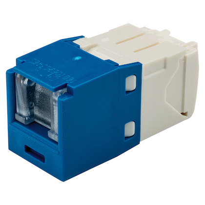 Panduit Jack de Red Mini-Com TG Cat6 UTP de  8 Posiciones, RJ-45, Azul