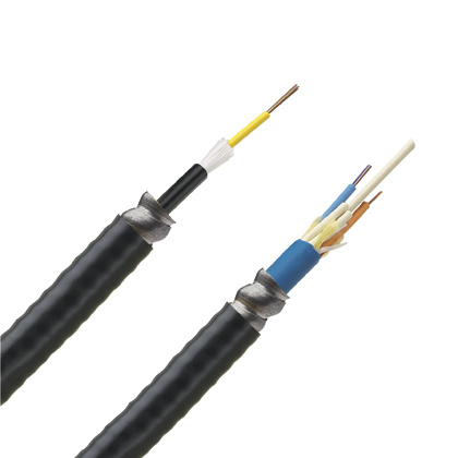 Panduit Cable Central con Armadura de 6 Fibras OM2, 50/125, Multimodo, Riser, 304 Metros, Negro