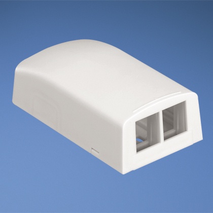 Panduit Caja para 2 Módulos NetKey, Blanco