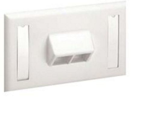 Panduit Placa de Pared, 2 Puertos RJ-45, Blanco