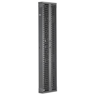 Panduit Organizador Vertical de Cables con Puertas, 45RU, Negro