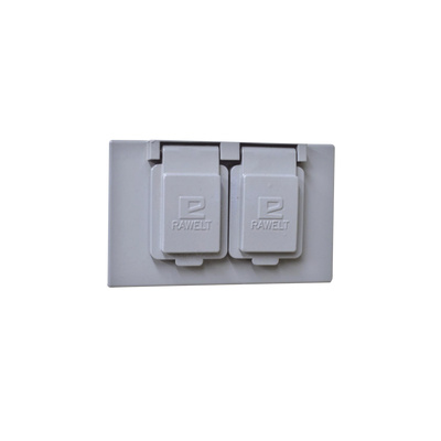Rawelt Tapa para Pared TR-0611, 2 Puertos Puertos, Gris