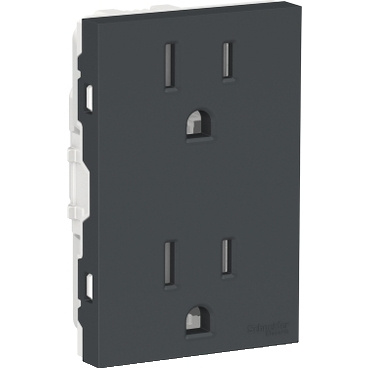 Schneider Electric Tomacorriente Orión, 2 Enchufes, 250V, 15A, Grafito