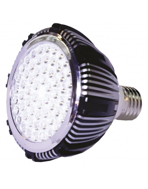 SL Prolight Foco LED OUT-SLMKPR30-12W-CW, Luz Fría, Base E27, 12W, Plata