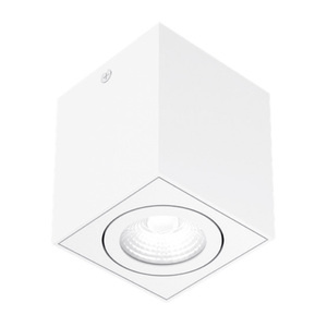 Tecnolite Lámpara LED para Techo Asterope, Interiores, Luz Cálida, 10W, 1020 Lúmenes, Blanco, para Casa