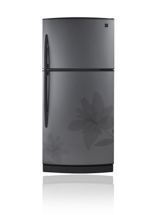 Winia Refrigerador DFR-1620DIT, 16 Pies Cúbicos, Titanio