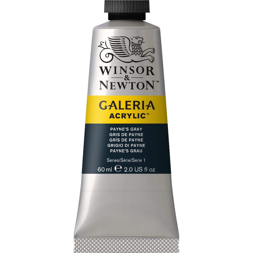 Winsor & Newton Pintura Acrílica para Arte Galeria, 60ml, Gris de Payne No.465