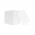 AccessPRO Tarjetas Imprimibles de PVC, 5.39 x 8.57cm, Blanco - 100 Piezas  1