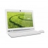 Acer Aspire AZC-602-MC31 All-in-One 19.5'', Intel Celeron 1017U 1.60GHz, 2GB, 500GB, Windows 8 64-bit, Blanco  3