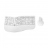 Kit de Teclado y Mouse Acteck Creator Virtuos Fitt MK770, Inalámbrico, RF Inalámbrico, Blanco (Español)  1