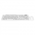 Kit de Teclado y Mouse Acteck Creator Prime MK225, Inalámbrico, USB, Blanco, Español  4
