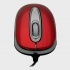 Mouse Acteck Mini Óptico AM-220, Alámbrico, USB, 800DPI, Rojo - Imagen adicional 1