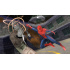 Activision The Amazing Spider-Man, Wii (ENG)  3