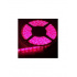 Antrolite Luces LED Rosa, 5 Metros  1