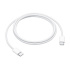 Apple Cable USB-C Macho - USB-C Macho, 1 Metro