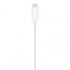 Apple Cable MagSafe Macho - USB-C Macho, 1 Metro  3