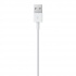 Apple Cable USB 2.0 A Macho - Lightning Macho, 2 Metros, Blanco - Imagen adicional 4