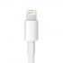 Apple Adaptador Lightning a 30-pin, 20cm  2