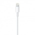 Apple Cable USB 2.0 A Macho - Lightning Macho, 50cm, Blanco  2