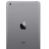 Apple iPad Mini 7.9'', 16GB, 1024 x 768 Pixeles, WiFi, Gris Espacial (Diciembre 2013)  3