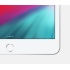 Apple iPad Mini 5 Retina 7.9", 64GB, WiFi, Plata (5.ª Generación - Marzo 2019)  3
