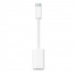 Apple Adaptador USB-C Macho - Lightning Hembra, Blanco, para iPhone/iPad  1