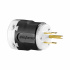Arrow Hart Clavija Recta, NEMA 5-15P, 125V, 15A, Negro/Blanco  5