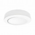 Artlite Lámpara LED para Techo ADO-012, Interiores, Luz Blanco Cálido, 12W, 950 Lúmenes, Blanco, para Iluminación Comercial/Casa