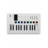 Arturia Teclado MIDI para DJ MiniLab 3, 25 Teclas, USB, Blanco   1