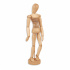 ATL Maniquí para Dibujo Masculino Torso Flexible, 31cm, Café  1