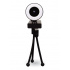 Balam Rush Webcam Stelar CW750, 1920 x 1080 Pixeles, USB, Negro  1