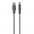 Belkin Cable USB A Macho - USB B Macho, 3 Metros, Negro  1