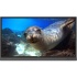 BenQ RP860K Pantalla Interactiva LED 86", 4K Ultra HD, Negro