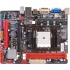Biostar T. Madre micro ATX A55MD2, S-FM2, 32GB DDR3 para AMD A Series, AMD E2 Series, Athlon II X4  1