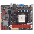 Biostar T. Madre micro ATX A55MLC2, S-FM1, 16GB DDR3 para AMD A, AMD E, Athlon II X2/X4, Sempron  1