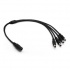 Brobotix Cable 5.5/2.1mm Hembra - 4x 4x 5.5/2.1mm Macho, 50cm, Negro  1