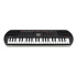 Casio Teclado Digital SA-81H3, 44 Teclas, 32 Tonos, USB  2