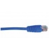ConduNet Cable Patch Cat6 UTP, RJ-45 Macho - RJ-45 Macho, 2 Metros, Rojo  2