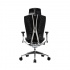 Cooler Master Silla Gamer Ergo L, hasta 200Kg, Negro/Plata  4