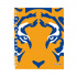 Dietrix Cuaderno Profesional First Class Club Tigres UANL, 80 hojas de Raya, Multicolor  1