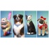 The SIMS 4: PLUS Cats and Dogs, DLC, Xbox One ― Producto Digital Descargable  8