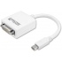 Encore Adaptador mini DisplayPort M - DVI FM, Blanco  2