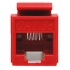 Enson Jack de Red Cat5e, RJ-45, Rojo  2