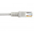 Enson Cable Cat5e UTP RJ-45 Macho - RJ-45 Macho, 1.5 Metros, Gris  2