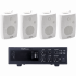 Epcom Amplificador de Audio EPB120E/4WSW, Alámbrico, 2 Canales, XLR, 70 - 100V