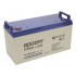 Epcom Batería Sellada PL120D12V2, AGM, 12V, 120Ah   5