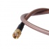 Epcom Cable Coaxial N Macho - SMA Macho, 60cm, Multicolor  3